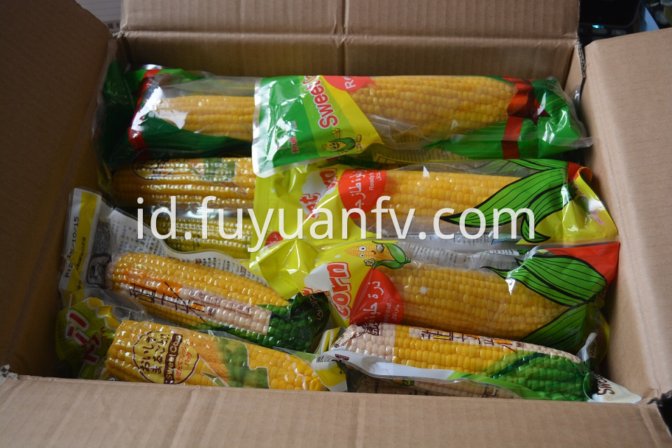 Fresh Sweet Corn 7